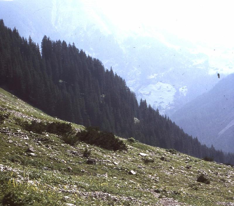 boden (41).JPG - EPSON MFP image